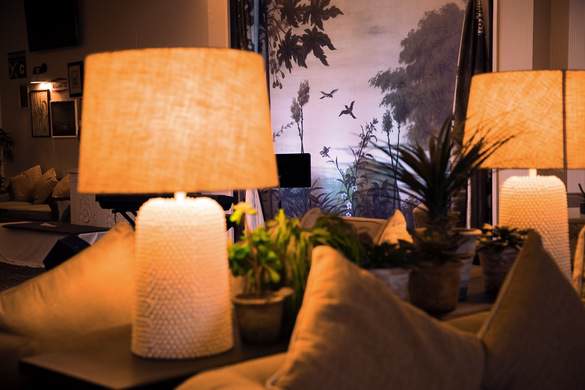 ACL Ambience, Botanical Lounge 15.jpg